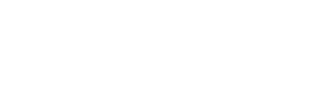 Logo Pelagos Stratégie